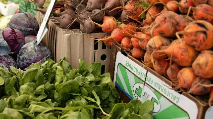تصویر بازار یا مغازه کشاورزی میوه و سبزیجات خوشمزه و تازه وارداتی و صادراتی 