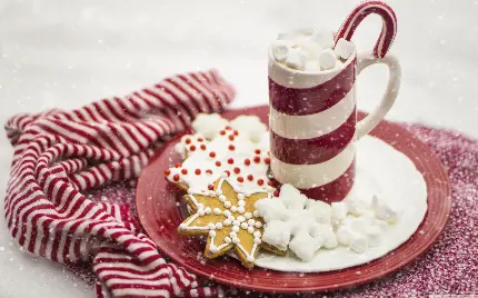 شکلات داغ با مارشمالو و آبنبات عصایی زیر بارش برف