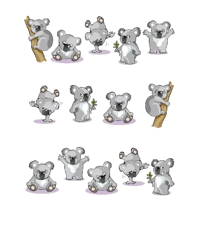 چاپ پوستر عکس PNG انواع کوالا رو شاخه درخت اکالیپتوس دور بری شده و بدون زمینه 