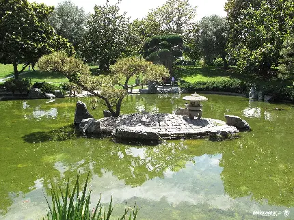 جزیره ای کوچک در باغ بونسای زیبا و رویایی