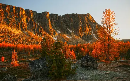 عکس پروفایل پاییزی از فصل هزار رنگ خزان در طبیعت
