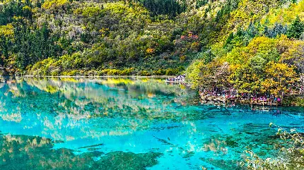 دانلود تصویر زمینه طرح طبیعت سرسبز و دریاچه آبی رویایی مخصوص طبیعت گردی 