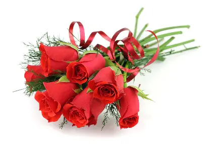عکس دسته گل قرمز مناسب هدیه دادن به عشق در روز ولنتاین