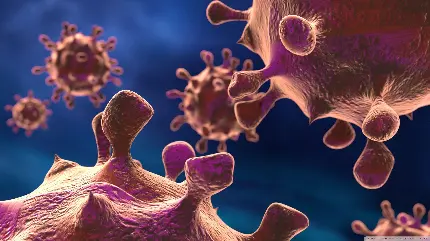 تصویر با طرح از ویروس ها مربوط به میکروبیولوژی