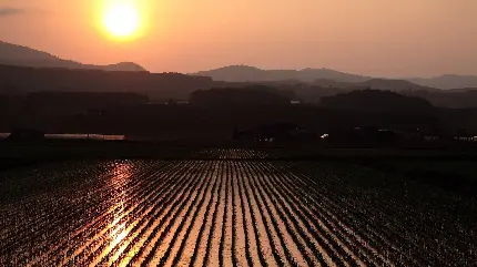 لحظه غروب خورشید برای پروفایل افراد احساساتی 