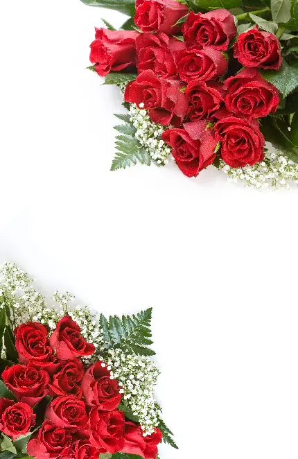 تصویر زمینه برای مناسبت روز ولنتاین برای عاشق های کیوت 