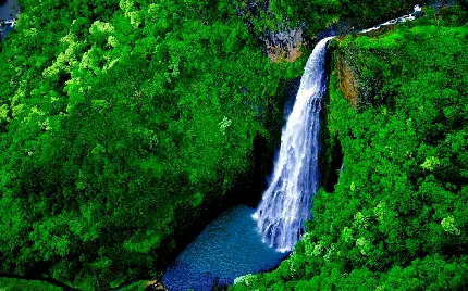 تصویری از آبشار ماناوایوپونا از جاذبه های هاوائی برای پروفایل 