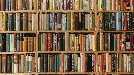 کتابخانه برای نویسنده ها و علاقه مندان به کتاب و کتابخوانی