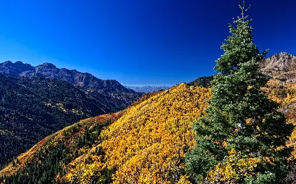 دانلود والپیپر از زیباترین مکان های طبیعت در جهان برای پروفایل 