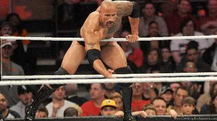 عکس پروفایل برای تیک تاک