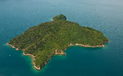 عکس هوایی از جزیره ای سرسبز از جوهره با کیفیت بالا 