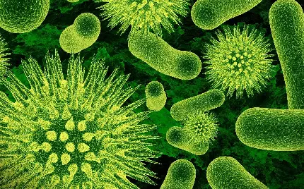 تصویر استوک full hd برای دانشمندان رشته میکروبیولوژی