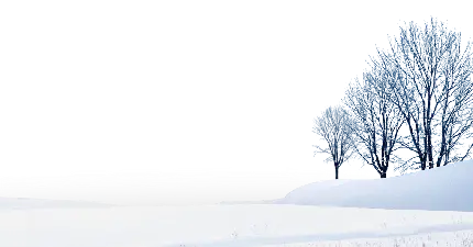تصویر درخت برفی گرافیکی با فرمت PNG و دوربری شده بدون زمینه 
