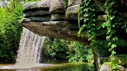 تصویر استوک از درختان جنگل به همراه آبشار زیبا و جذاب با فرمت jpg