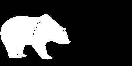 نقاشی PNG از خرس های قطبی به صورت کاملا رایگان 