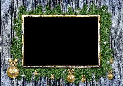 درخت کریسمس از کجا بخرم