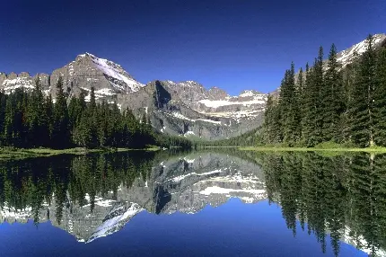دلپذیر ترین چشم انداز طبیعی دریاچه پر آب کوهستانی جنگلی 