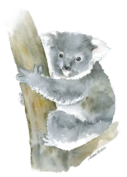 تصویر png نقاشی گرافیکی خرس کوالا طوسی در حال استراحت