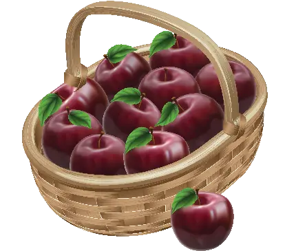 تصویر PNG زیبا و متفاوت سیب دوربری شده و بدون زمینه