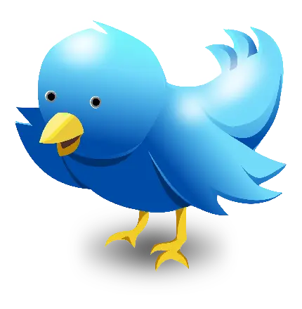 تصویر پرنده آبی X توییتر سه بعدی گرافیکی بدون زمینه 