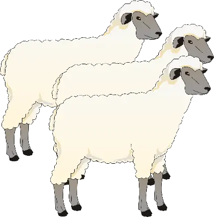 تصویر فانتزی بدون زمینه گوسفندهای سفید پشمالو با فرمت png