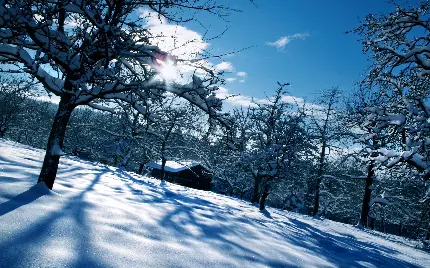 دانلود عکس رایگان و با کیفیت منطقه تفریحی زمستانه خاص و یونیک 