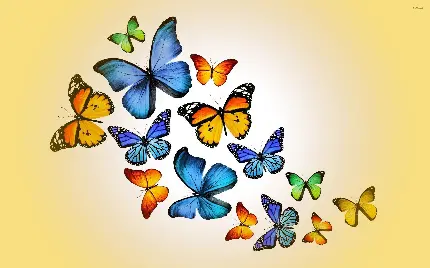 Wallpaper والپیپر کامپیوتر منتخب 2023 با طرح جذاب پروانه های رنگارنگ 