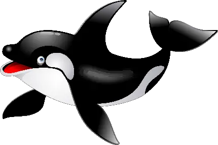 پی ان جی عکس نهنگ قاتل انیمیشنی شاد و پرانرژی با پوست براق
