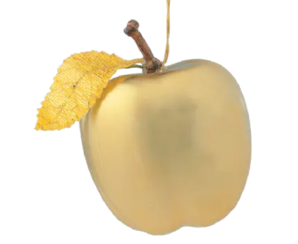 PNG متفاوت سیب طلایی بدون زمینه مخصوص پروفایل هنری