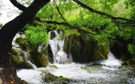 تصویر پس زمینه از آبشار هایی در دل طبیعت جدید ۱۴۰۳