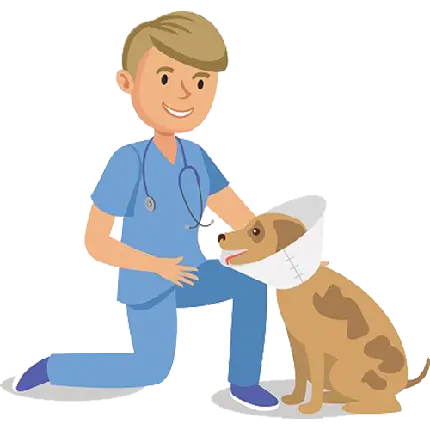 عکس دوربری png دامپزشک در حال معاینه سگ با طرح کارتونی