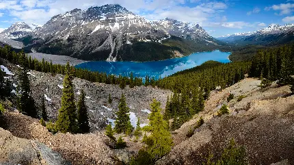 عکس زمینه از طبیعت و دریاچه پی تو کنار رشته کوه های راکی در کانادا  