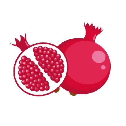 نقاشی انار زیبا