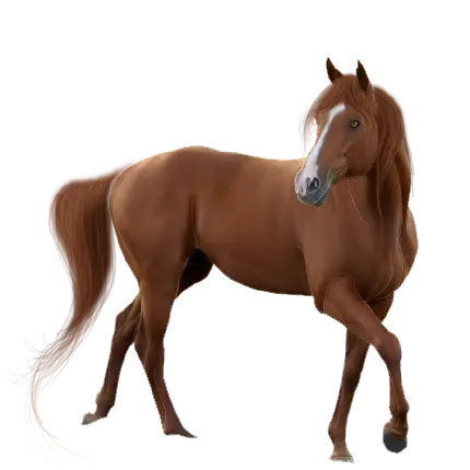 تابلو اسب دکوراتیو