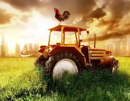 تصویر پس زمینه جالب و زیبا از تراکتور قدیمی در مزرعه هنگام طلوع