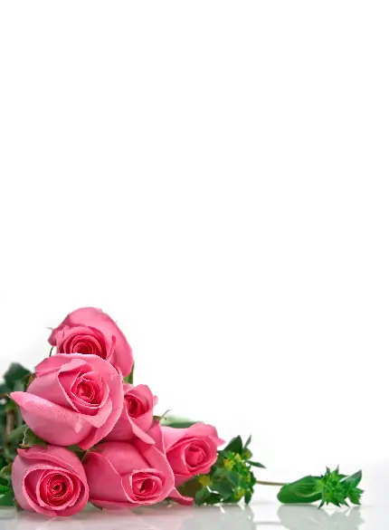 عکس با طرح گل در گوشه تصویر سفید و ساده مناسب ولنتاین 