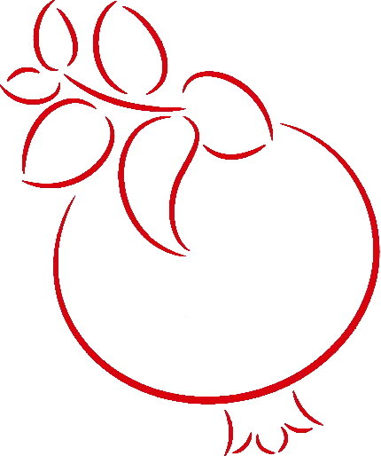 نقاشی انار با خطوط قرمز رنگ مخصوص رنگامیزی کودکان