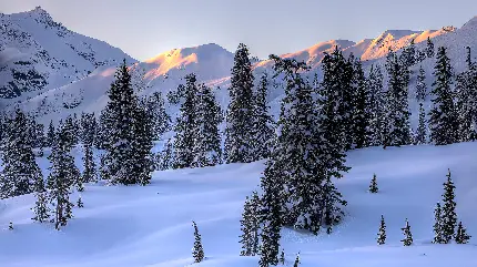 دانلود بهترین عکس طبیعت کوهستانی برفی برای پروفایل تلگرام و واتساپ 