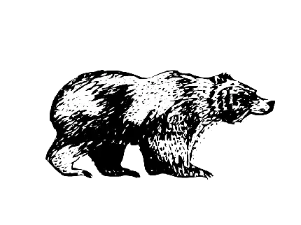 تصویر خرس سیاه و سفید دور بری شده بدون زمینه png مناسب چاپ 