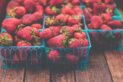 دانلود رایگان عکس بازار مرکزی کشاورزی توت فرنگی های خوشمزه و آب دار 