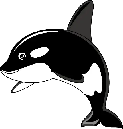 عکس png نهنگ قاتل یک ایده ساده برای کشیدن نقاشی دیجیتال