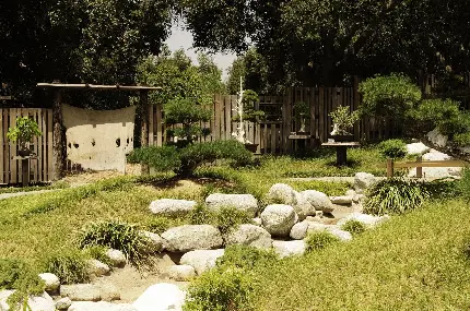 عکس باغ بونسای با هوای پاک و تمیز در کشور ژاپن