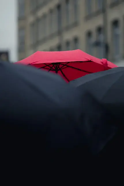 دانلود والپیپر چتر قرمز بیرون آمده از پشت چتر های مشکی