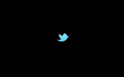 دانلود عکس پی ان جی png پرنده آبی نماد برنامه X توییتر 