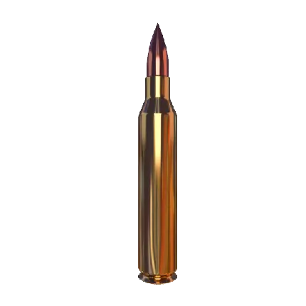 چاپ پوستر عکس پی ان جی و دور بری شده فشنگ