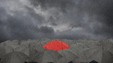 چتر های مشکی و یک چتر قرمز زیر بارش باران آسمان ابری