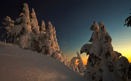تصویر تابش بی جان خورشید در منظقه ای یخی و برفی 