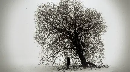 عکس جالب و غمگین در تم سیاه و سفید از دختری کنار درخت بی برگ