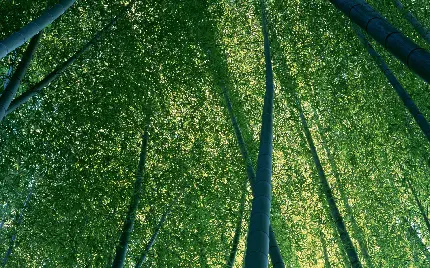 عکس از نمای جالب و عکاسی حرفه ای از طبیعت برای پس زمینه 