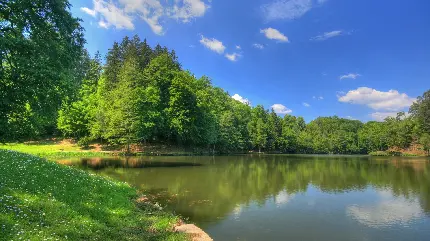 دانلود عکس درختان سرسبز کنار دریاچه با کیفیت full HD 